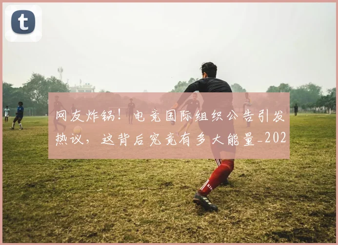 网友炸锅！电竞国际组织公告引发热议，这背后究竟有多大能量_20260710003753