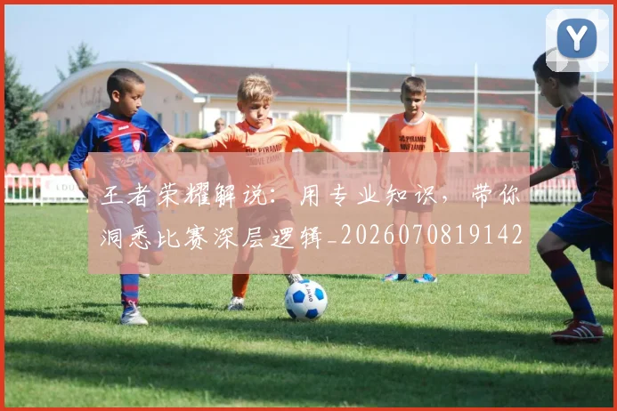 王者荣耀解说：用专业知识，带你洞悉比赛深层逻辑_20260708191426_20260802160230
