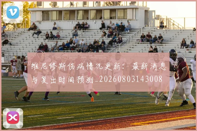 维尼修斯伤病情况更新：最新消息与复出时间预测_20260803143008